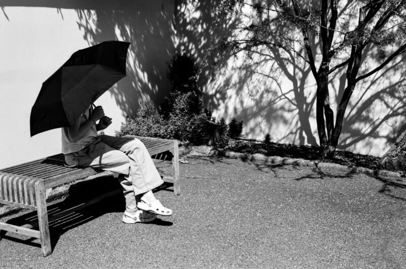 A person sits on a wooden bench under a black umbrella, casting a shadow against a white wall next to a tree.