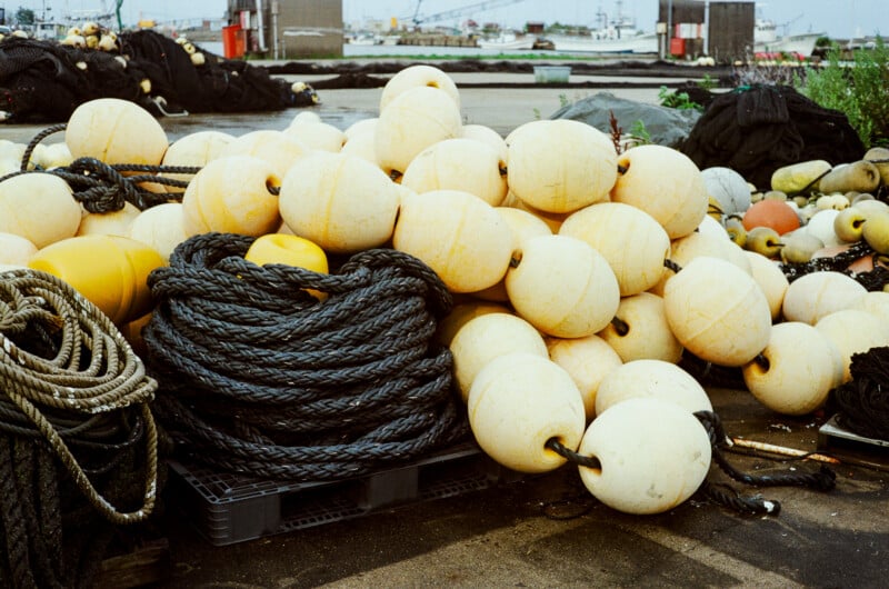 A large pile of yellow fishing buoys and thick black ropes sits on a plastic pallet at a harbor.