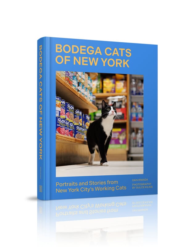 A blue hardcover book titled "Bodega Cats of New York" featuring a black and white cat standing in a grocery store aisle.