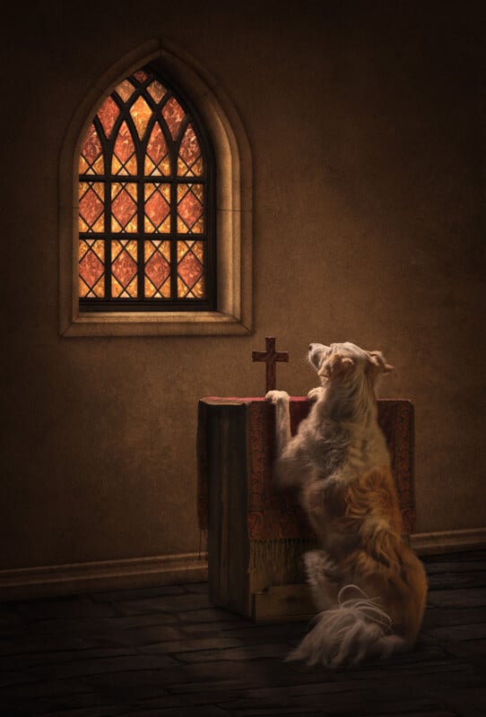 A dog with light brown and white fur rests its front paws on a wooden altar with a small cross, looking toward a glowing stained-glass window.