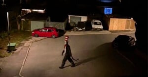A person dressed in a Cat in the Hat costume walks across a residential street at night.