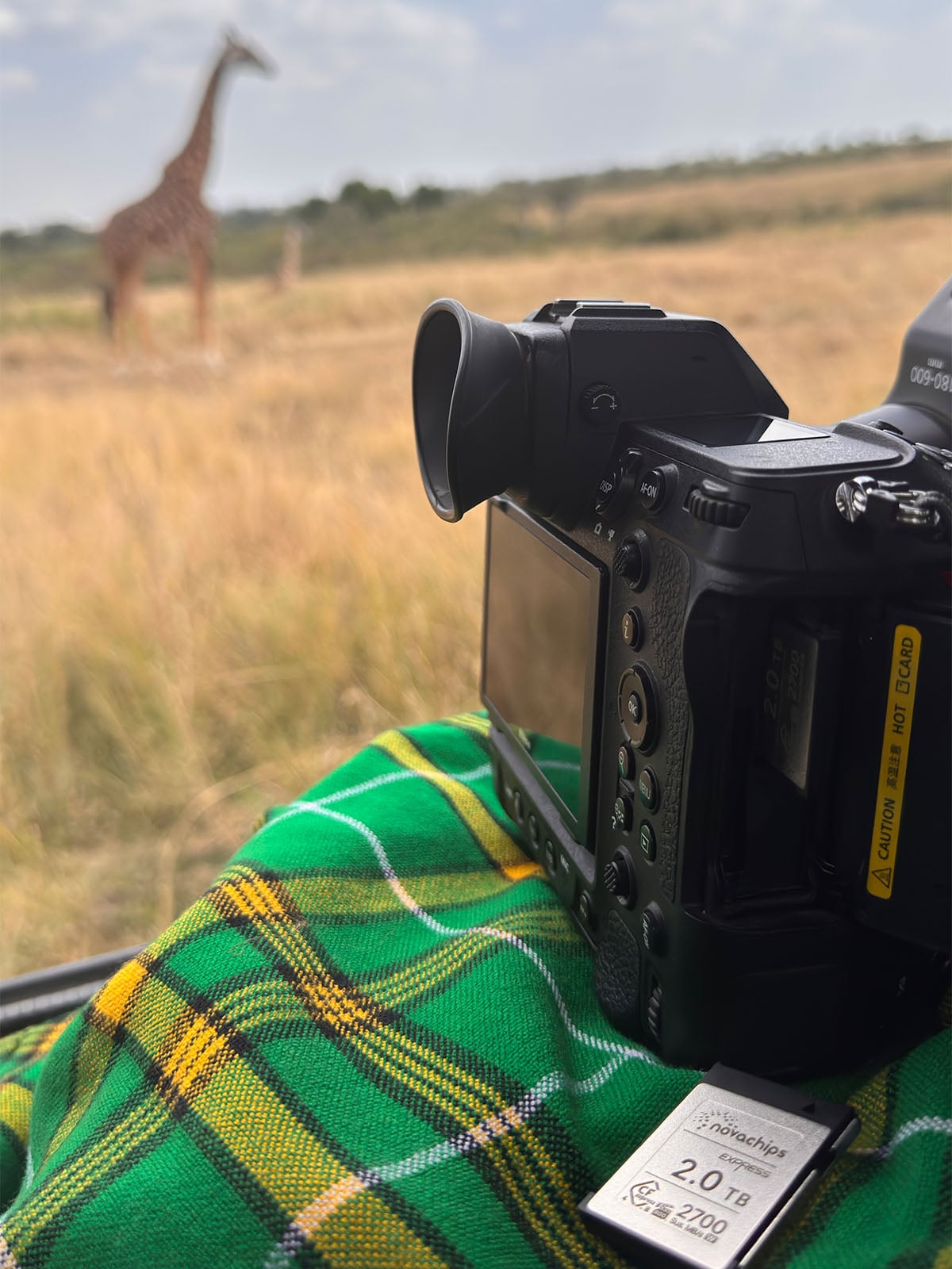 A professional camera rests on a green and yellow plaid blanket in a grassy field with a giraffe visible in the blurred background.