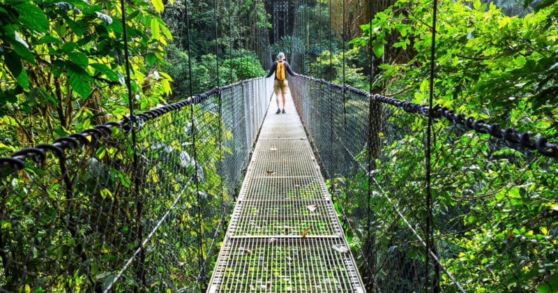 A person with a yellow backpack walks across a metal suspension bridge surrounded by a dense, green rainforest.