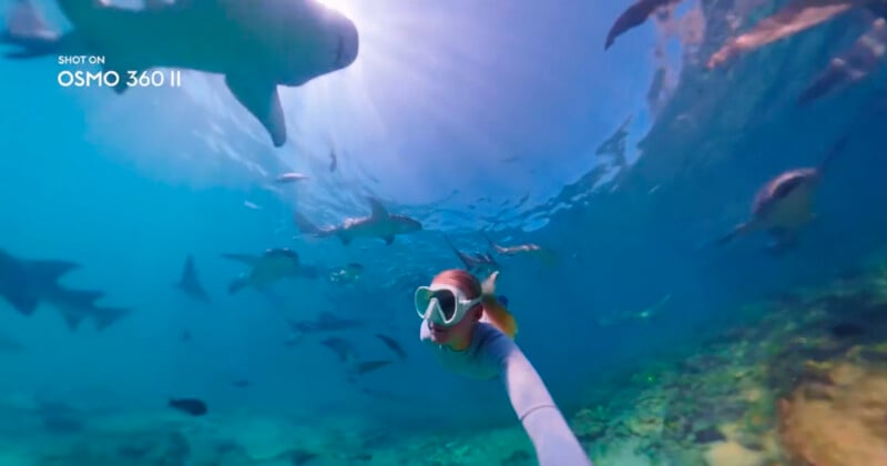 A person wearing a snorkel mask swims underwater surrounded by several sharks in clear blue water.