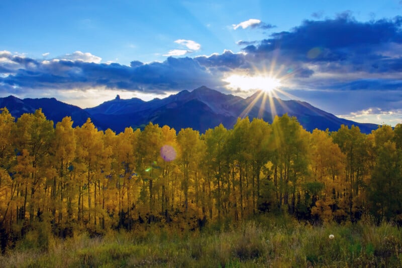 Sunlight bursts over a mountain range behind a dense forest of golden autumn aspen trees.