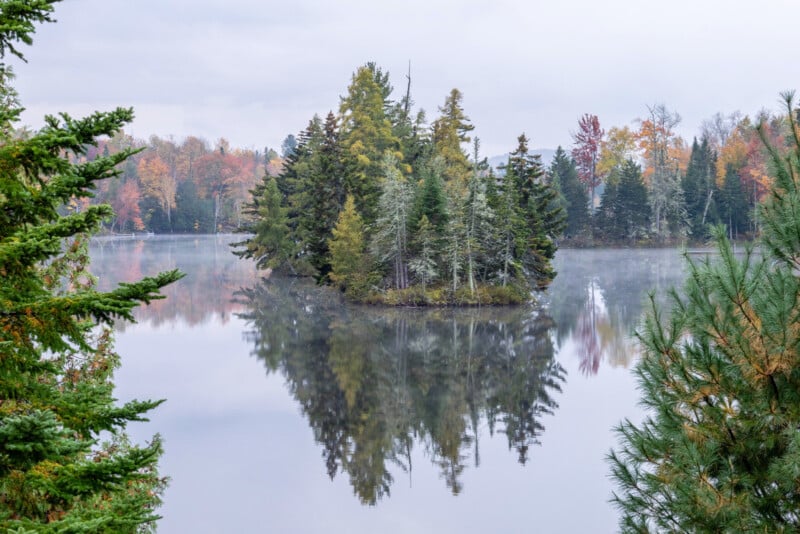 A small, tree-covered island sits in the center of a calm, misty lake, framed by evergreen branches in the foreground.