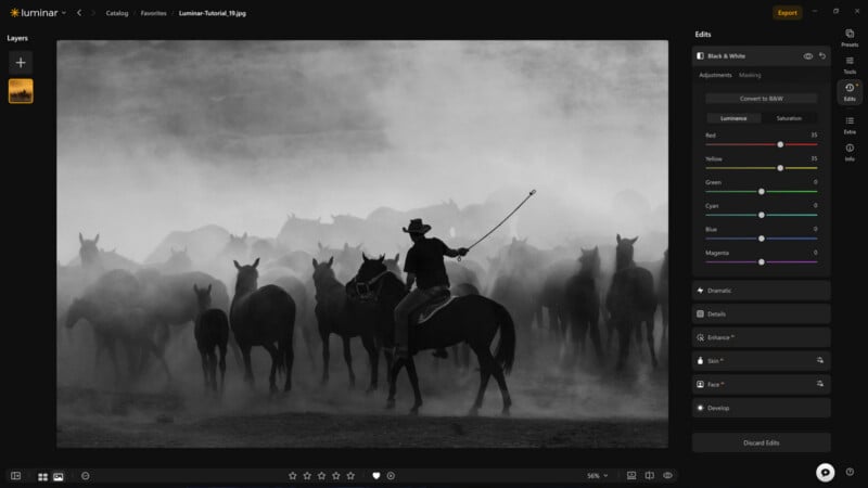 A black and white photo editing interface displays a cowboy on horseback herding a group of horses through a dusty field.