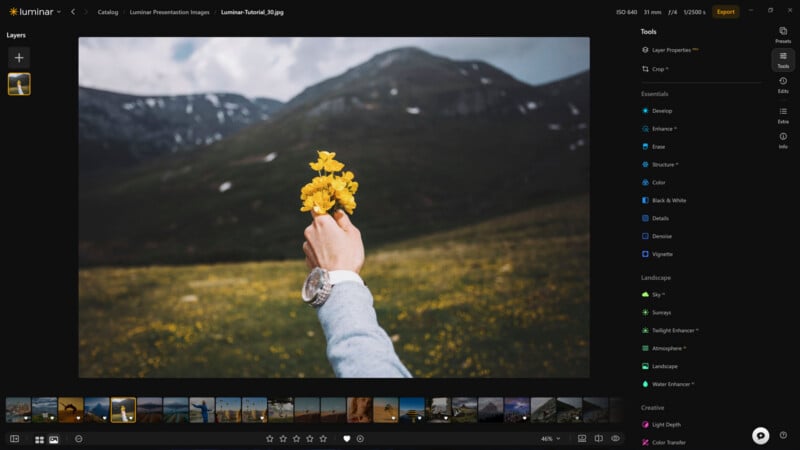 A hand holding a small bouquet of yellow flowers is centered in front of a blurred mountain landscape, displayed within the Luminar photo editing software interface.