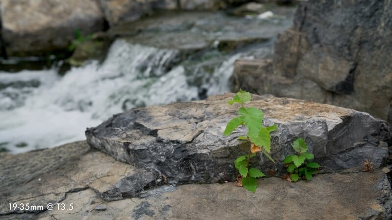 Two small green plants grow from a crack in a large, flat rock in front of a blurred, flowing waterfall.