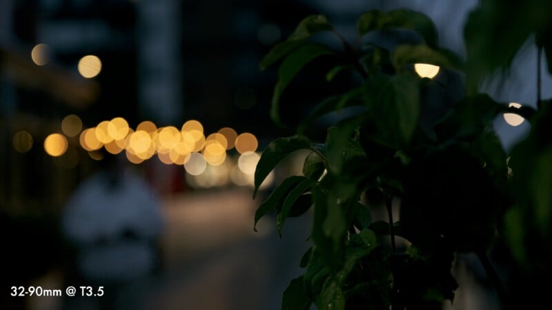 A close-up of dark green leaves in the foreground with a soft-focus background of glowing, circular golden lights at night.