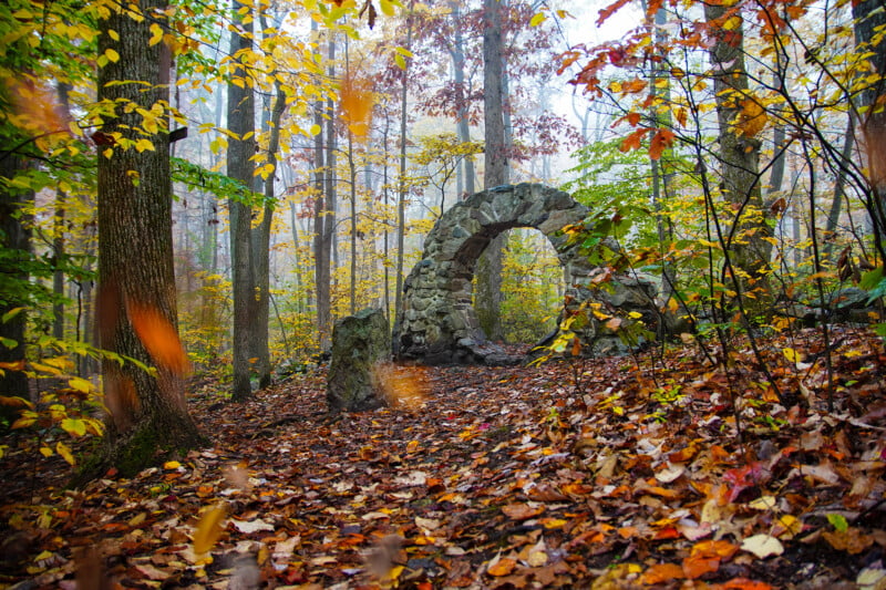A stone arch stands in a misty, autumn forest floor covered in fallen leaves, surrounded by trees with yellow and orange foliage.