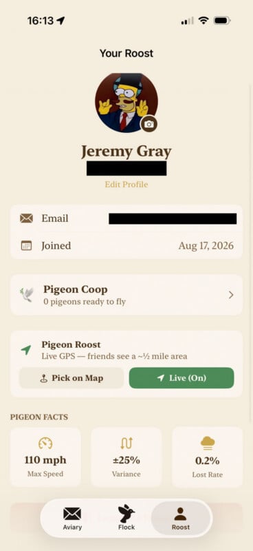 A mobile app profile screen titled "Your Roost" for user Jeremy Gray, showing account details, pigeon status, and navigation tabs.