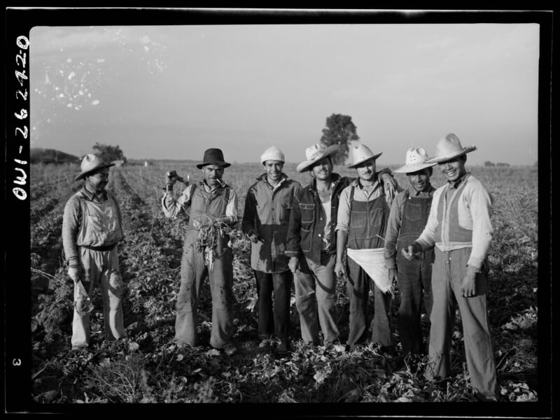 Seven men stand in a row in a field, wearing work clothes and hats, with one man holding a harvested vegetable.