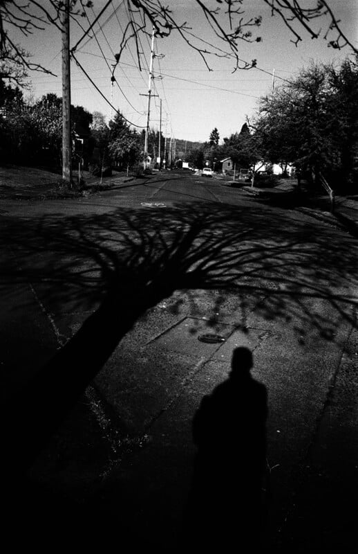 A high-contrast black and white shot shows the long shadow of a person and a tree cast across an empty residential street.