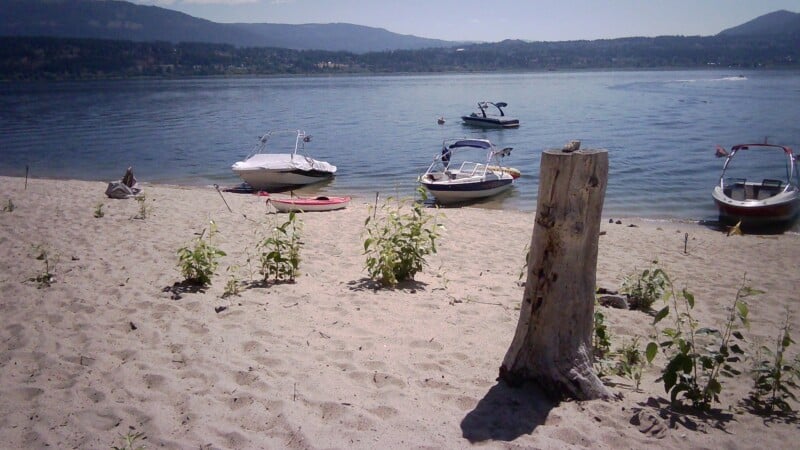 A sandy beach features a large tree stump in the foreground, with several motorboats and a small kayak moored along the shoreline under a clear sky.