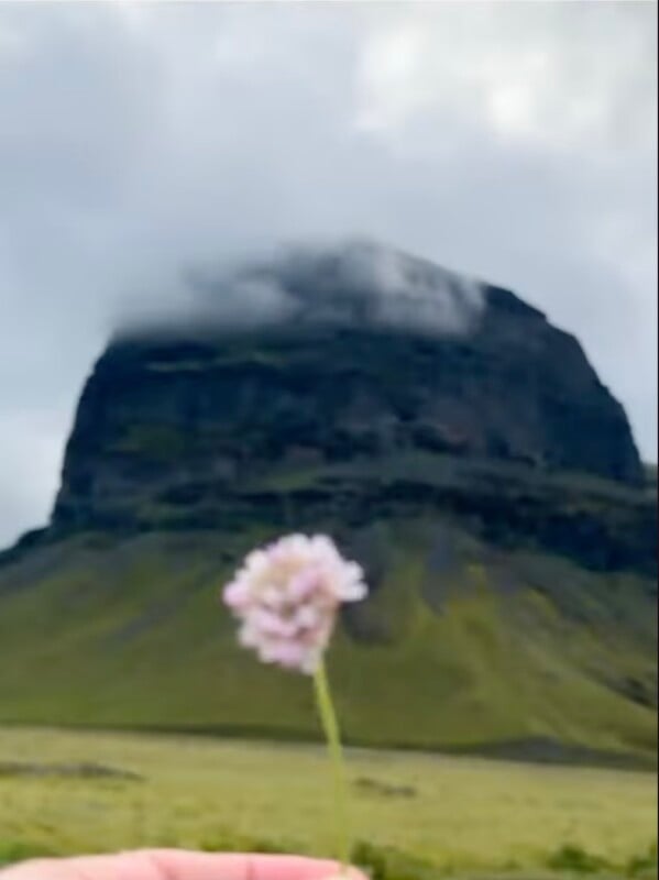 A hand holds a small, light pink flower in the foreground, with a large, cloud-capped mountain rising in the background.