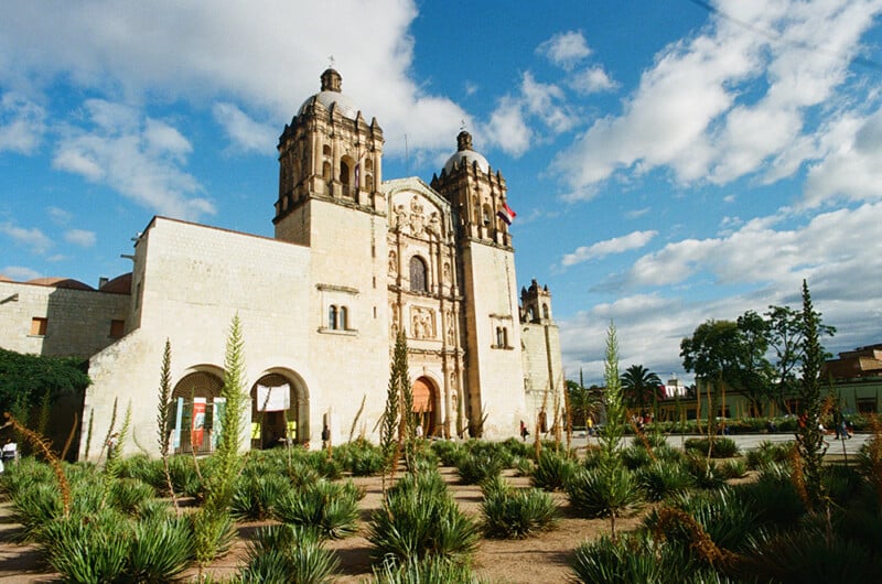 A large, light-colored stone church with two bell towers stands behind a garden of spiky plants under a blue sky with scattered clouds.