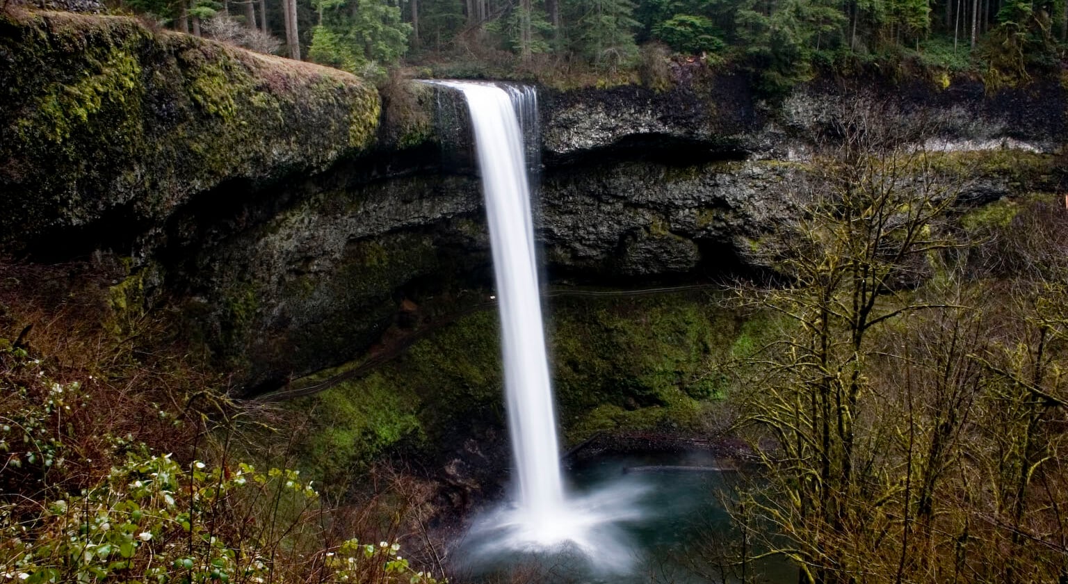 A tall, narrow waterfall plunges over a dark, mossy cliff into a pool surrounded by a dense forest.