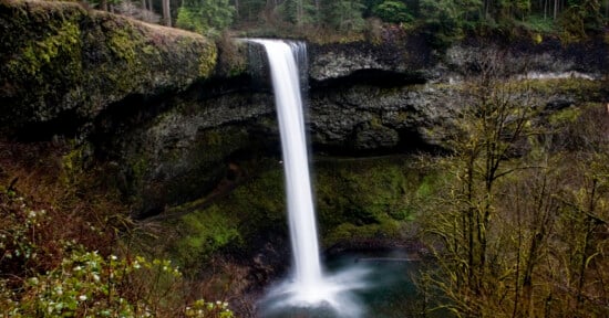 A tall, narrow waterfall plunges over a dark, mossy cliff into a pool surrounded by a dense forest.