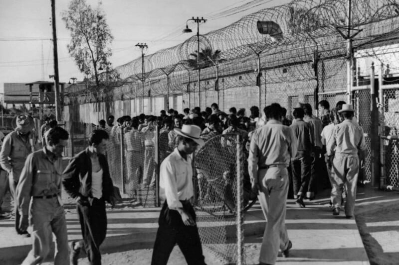 A group of men in work clothes walk through a fenced enclosure topped with barbed wire.