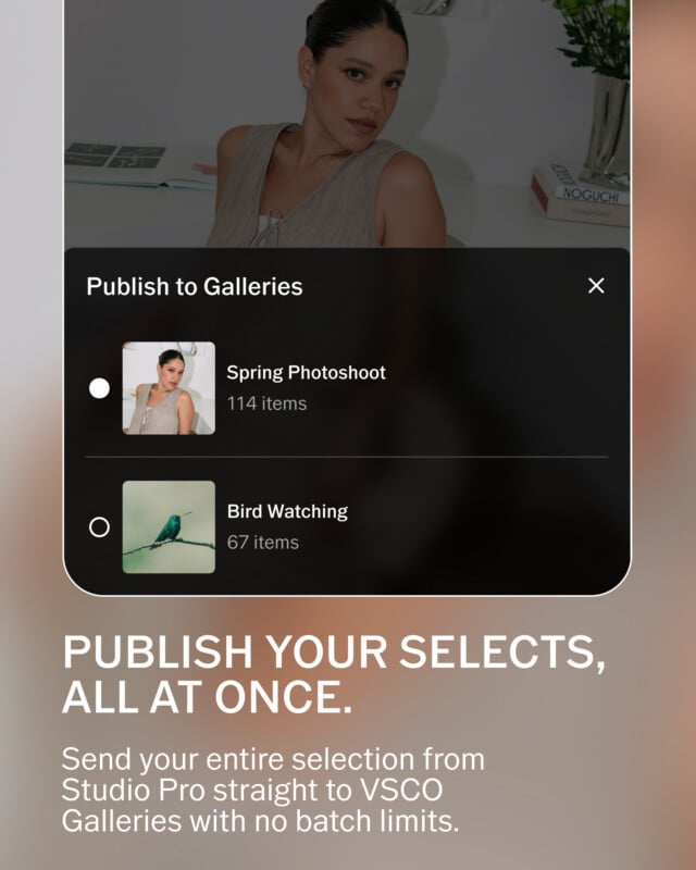 A pop-up menu titled "Publish to Galleries" lists two options: "Spring Photoshoot" with 114 items and "Bird Watching" with 67 items, below which text reads "PUBLISH YOUR SELECTS, ALL AT ONCE.