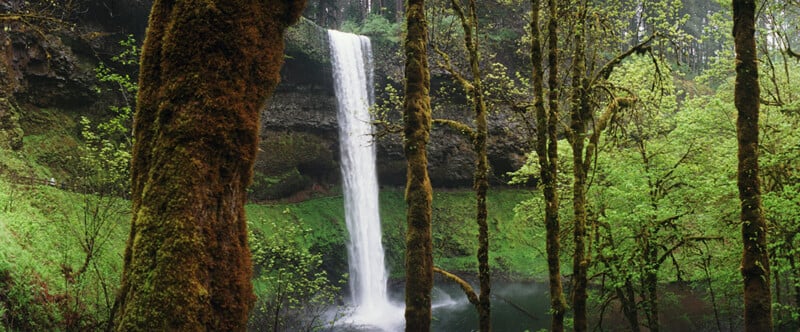 A tall waterfall cascades over a dark, mossy cliff into a pool surrounded by a lush, green forest with large, moss-covered trees.