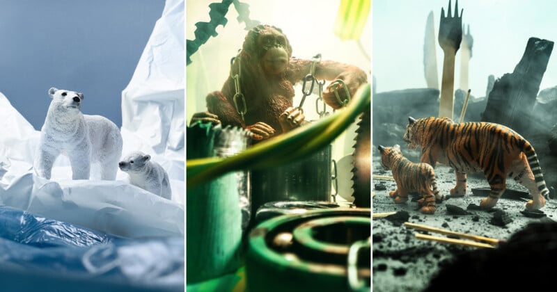 A triptych showing toy animals in environmental settings: polar bears on plastic, an orangutan in chains, and tigers in a wasteland.