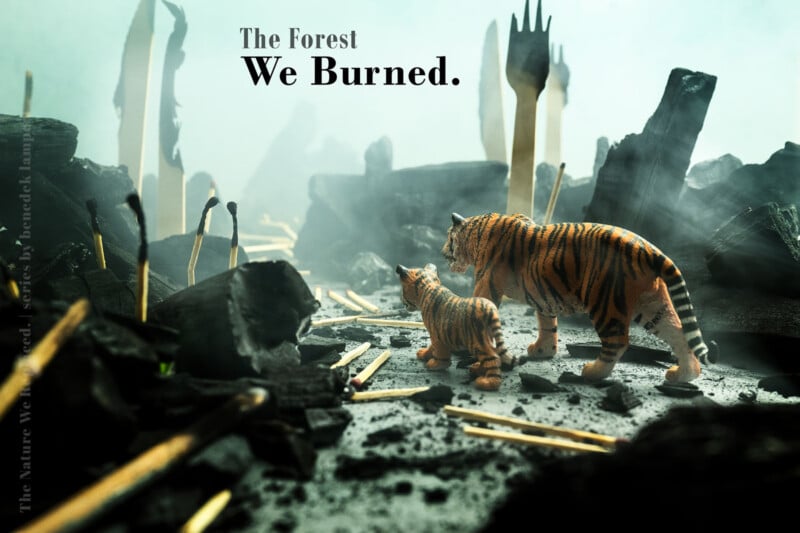 A mother tiger and her cub walk through a landscape of charred wood and burnt matchsticks, with the text "The Forest We Burned.