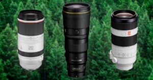 Three telephoto camera lenses stand side-by-side against a blurred green forest background.