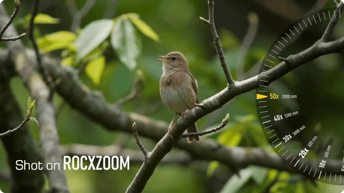 A small brown bird perched on a tree branch with a digital zoom interface overlay on the right side indicating 50x magnification.