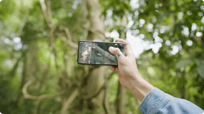 A person holds a smartphone horizontally to record a video of a tree trunk in a forest.