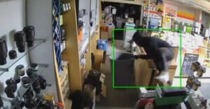 A person wearing dark clothing jumps over a counter inside a retail store, with a green box highlighting their movement.