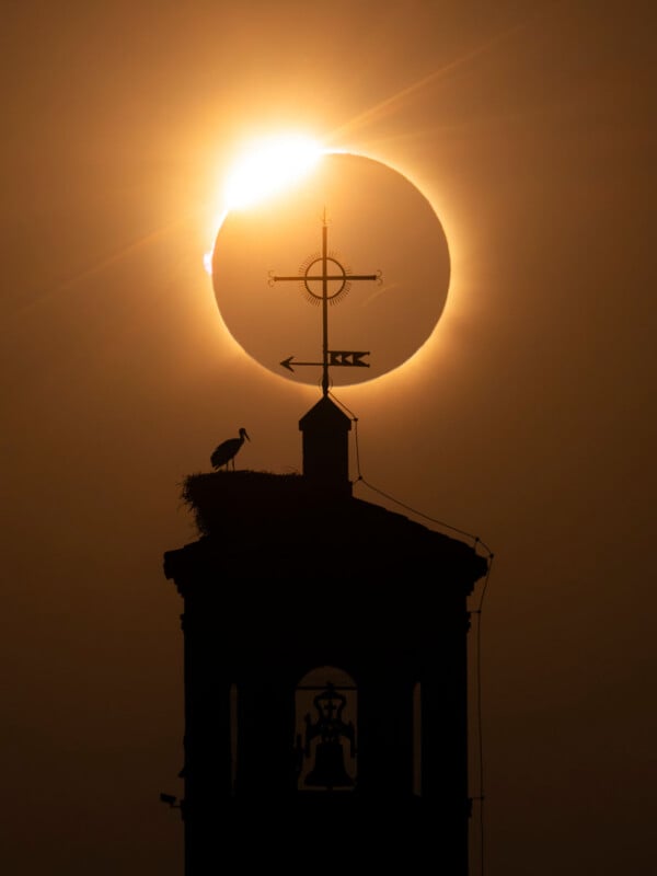 A solar eclipse appears behind the silhouette of a church bell tower, which features a weather vane and a stork in a nest.