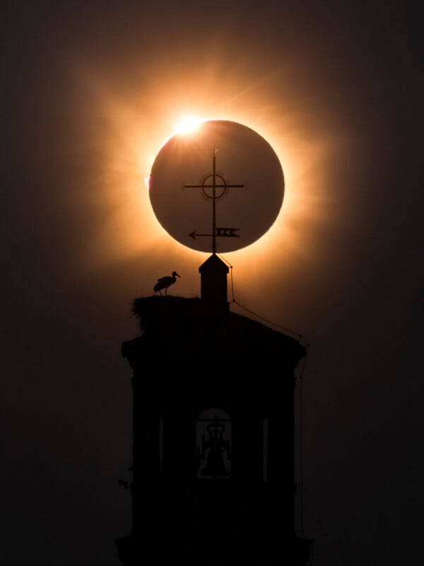 A solar eclipse appears directly behind the cross-topped steeple of a building, where a stork stands in a nest.