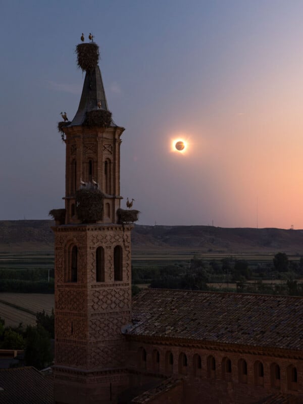 A tall, ornate brick church tower with multiple stork nests sits against a sunset sky featuring a solar eclipse.