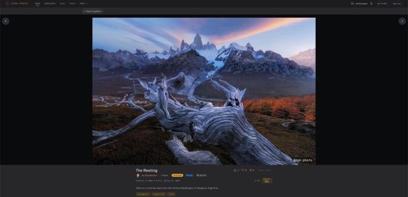 A large, weathered, silver-grey tree trunk lies in the foreground against a backdrop of rugged, snow-capped mountains under a sunset sky.