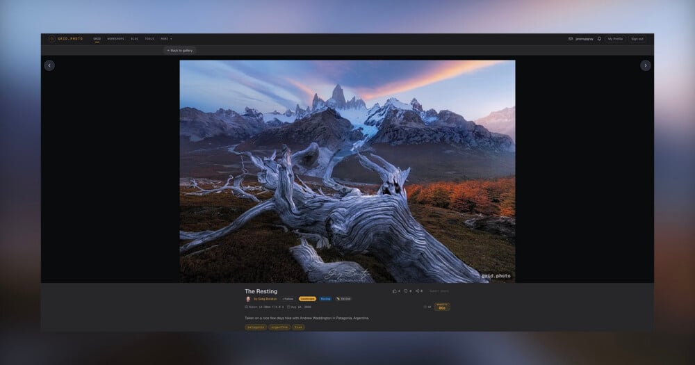 A weathered, gnarled tree trunk lies in the foreground of a landscape featuring a jagged, snow-capped mountain range under a sunset sky.