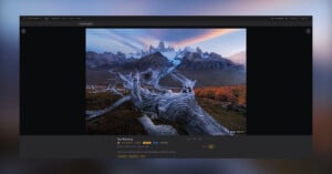 A weathered, gnarled tree trunk lies in the foreground of a landscape featuring a jagged, snow-capped mountain range under a sunset sky.