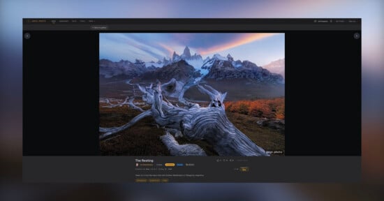 A weathered, gnarled tree trunk lies in the foreground of a landscape featuring a jagged, snow-capped mountain range under a sunset sky.