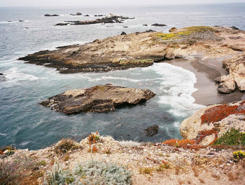 A rocky coastline with a small sandy cove, crashing waves, and patches of colorful coastal vegetation.