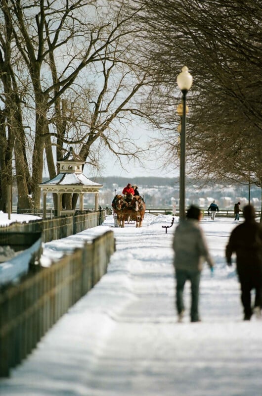 A horse-drawn carriage travels along a snow-covered path past a gazebo, while pedestrians walk in the foreground.