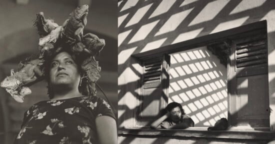 A split-screen composition showing a woman with iguanas on her head on the left and a woman looking out a window on the right.