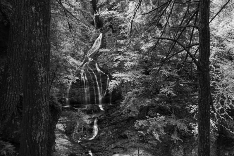 A black-and-white view of a tiered waterfall cascading down a rocky cliff face, framed by two large trees in the foreground.