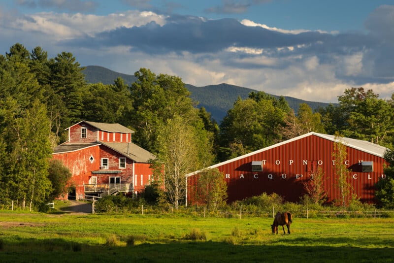 A brown horse grazes in a grassy field in front of a red barn and a large red building labeled Topnotch Racquet Club, with mountains in the background.