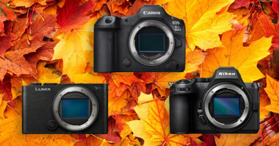 Three digital camera bodies are arranged on a background of colorful autumn leaves, with the Canon EOS R5 Mark II at the top, a Lumix camera on the bottom left, and a Nikon Z camera on the bottom right.