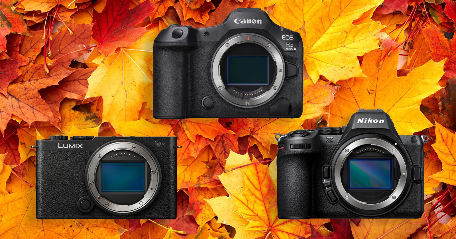 Three digital camera bodies are arranged on a background of colorful autumn leaves, with the Canon EOS R5 Mark II at the top, a Lumix camera on the bottom left, and a Nikon Z camera on the bottom right.