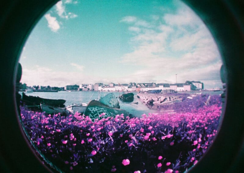 A circular fisheye view of a harbor with small boats and a town in the distance, framed by a foreground of vibrant purple flowers.