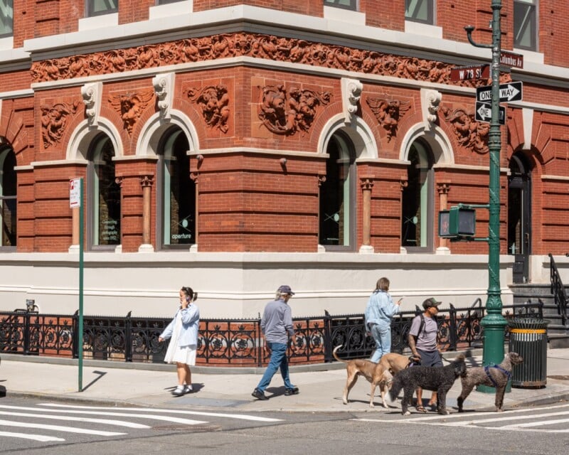 Four people walk along a sidewalk in front of a red brick building with ornate carvings, accompanied by three dogs.