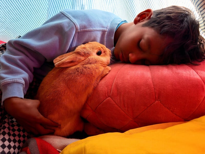 A child in a light blue sweatshirt sleeps with their head resting on a large red pillow, while holding a small orange rabbit.