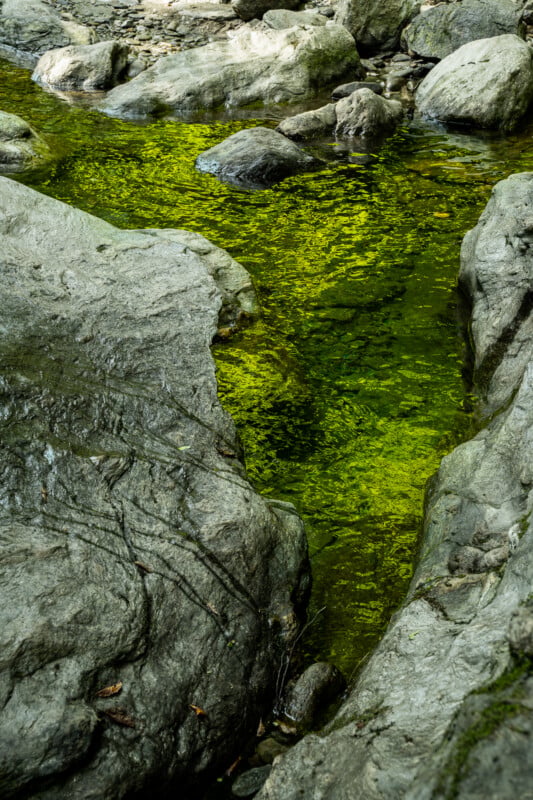 A narrow, clear stream flows between large, weathered grey rocks, reflecting the vibrant green of surrounding foliage.